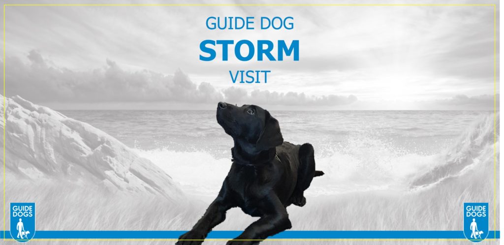 Guide Dog Storm Visit