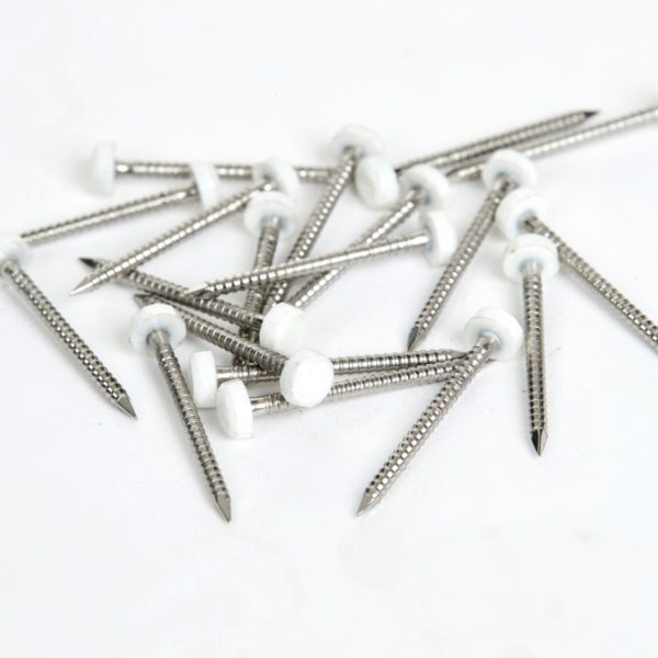 Polytop Pins With White Head